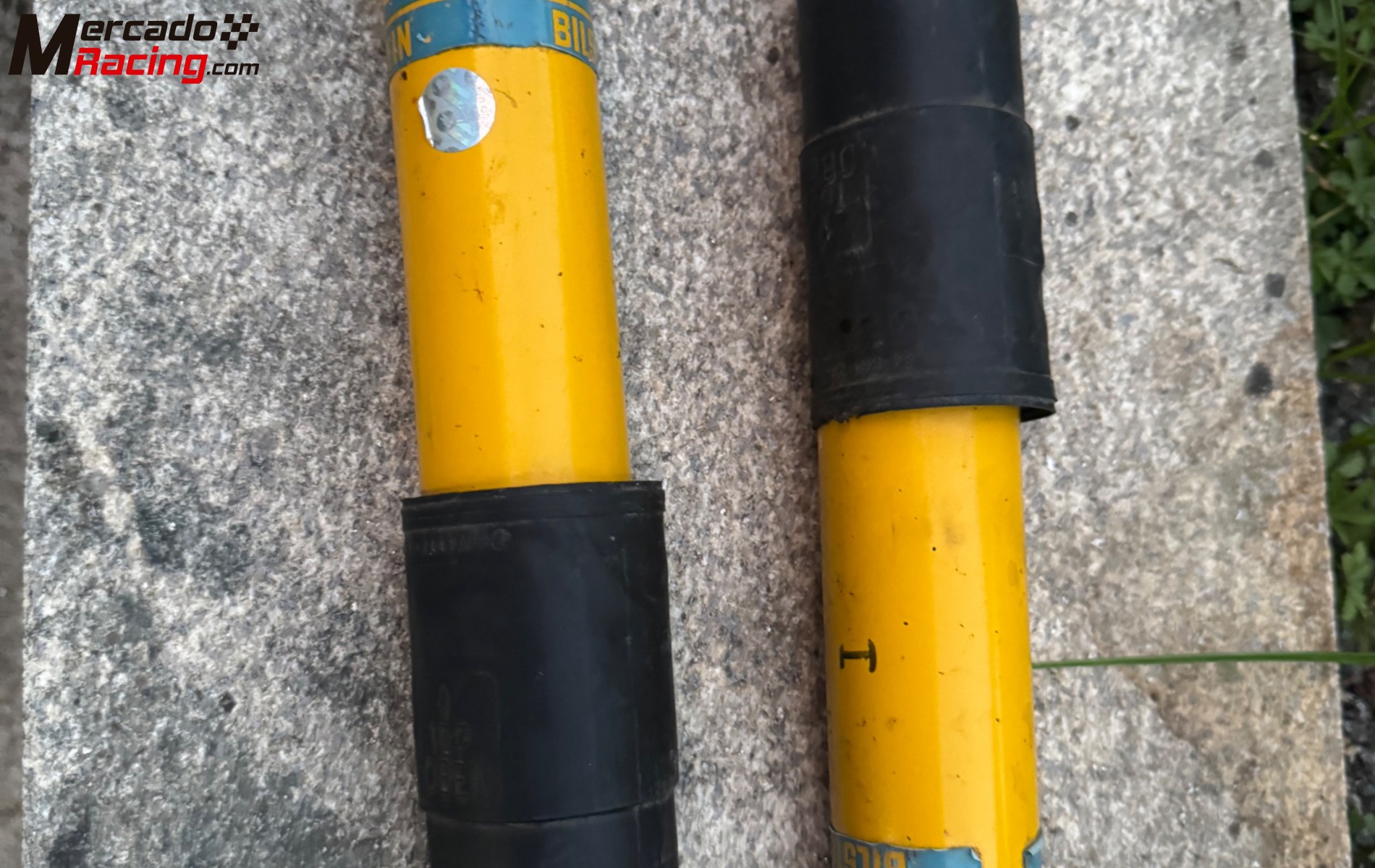 Suspensión trasera bilstein 206