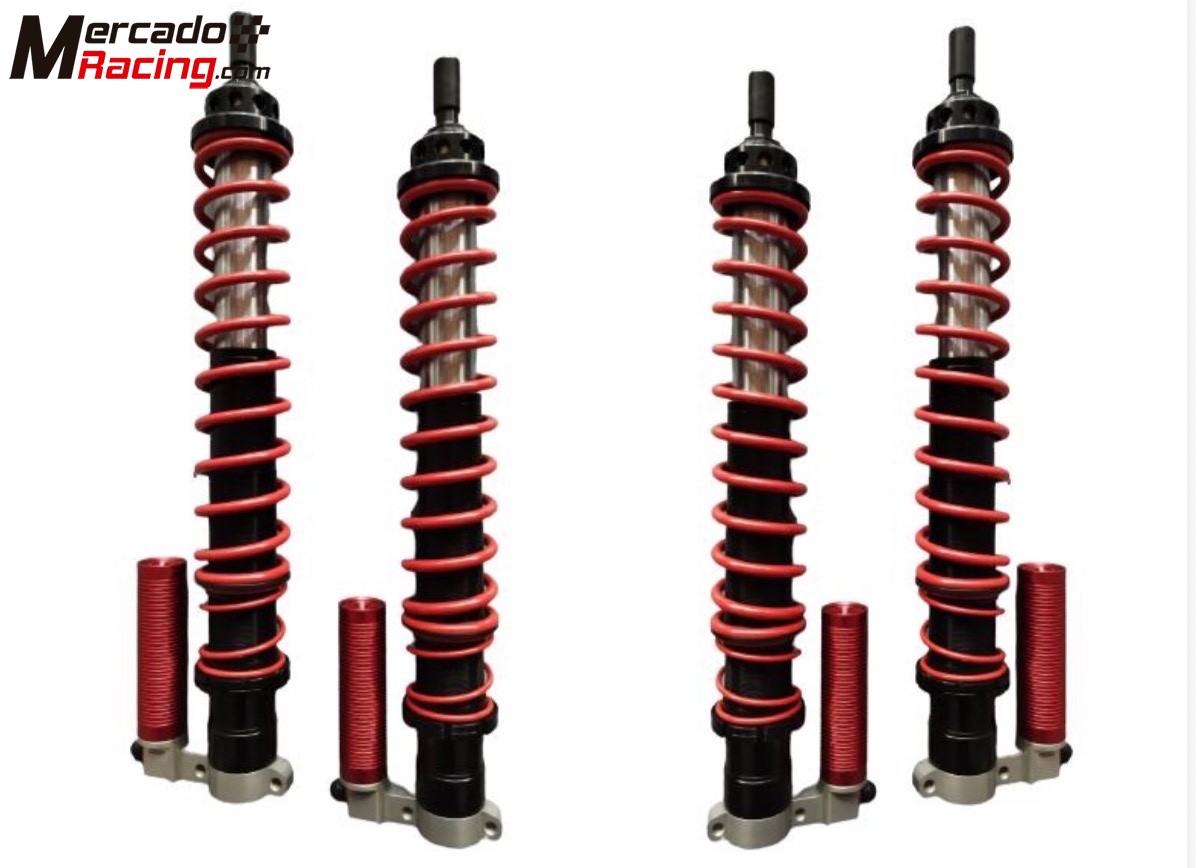 Suspension sansonas n5