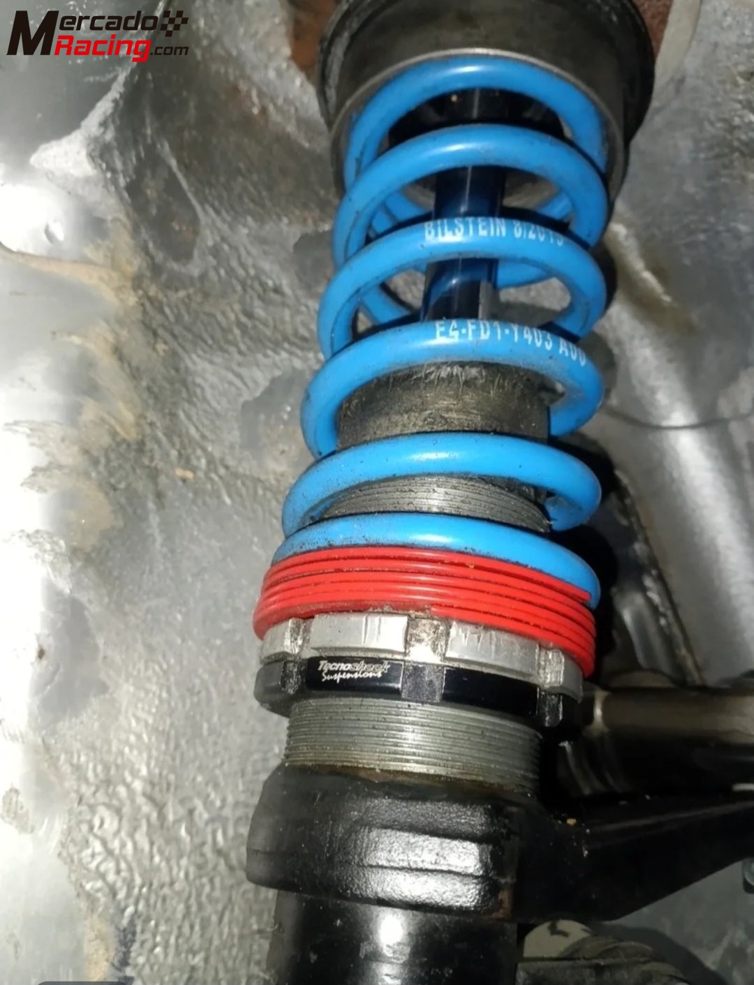 Tecnoshocl +pts