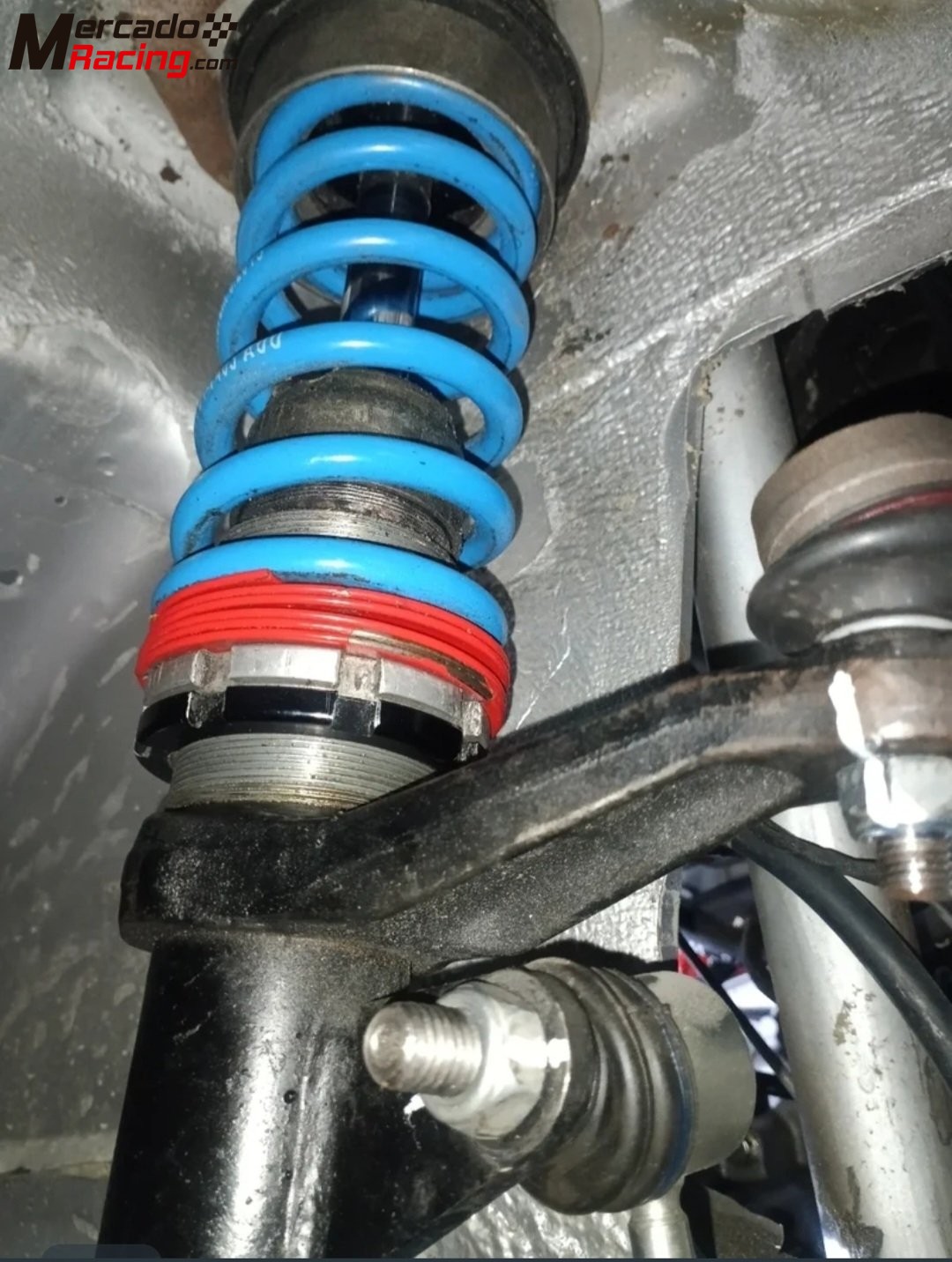 Tecnoshocl +pts