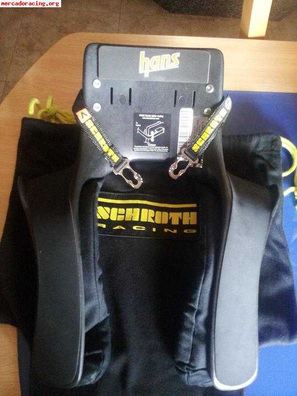 Hans schroth resina inyectada