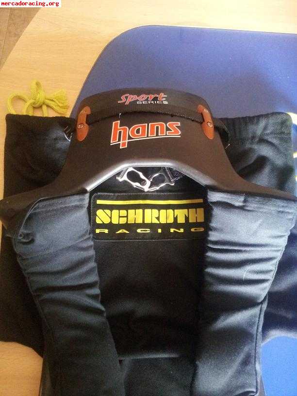 Hans schroth resina inyectada