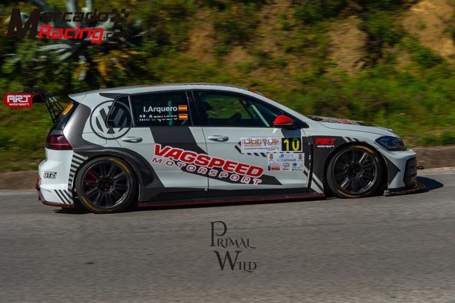 Tcr wtcc 2019