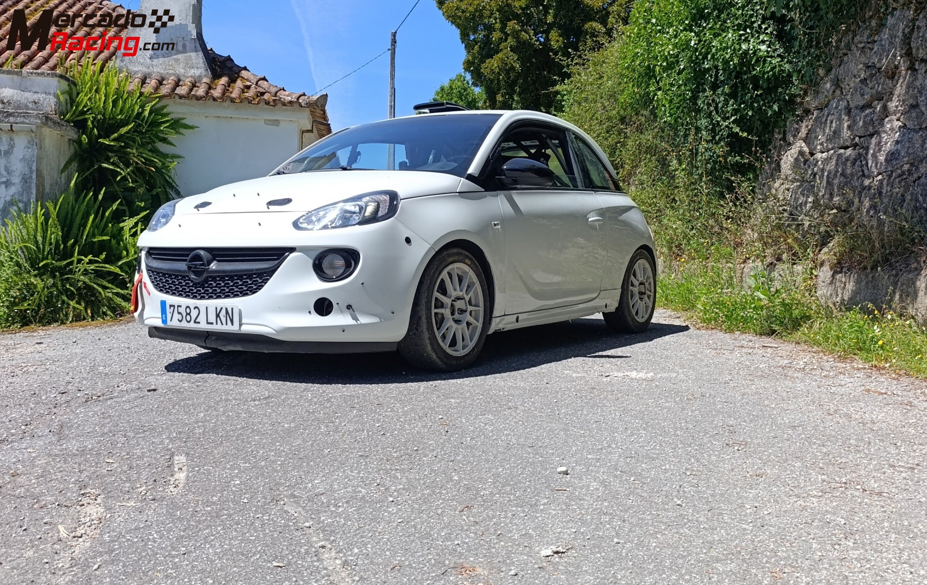 Opel adam cup