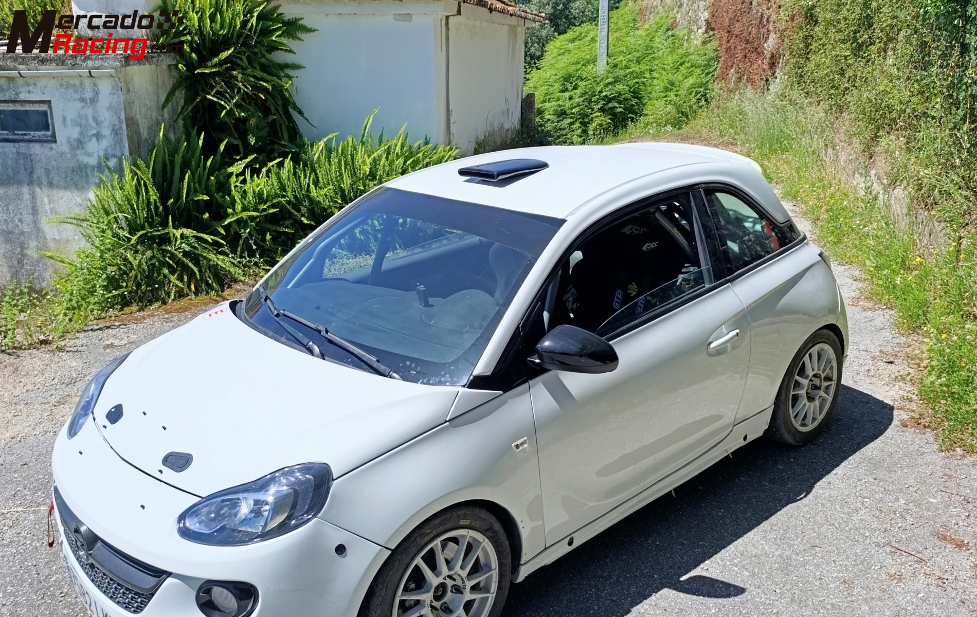 Opel adam cup
