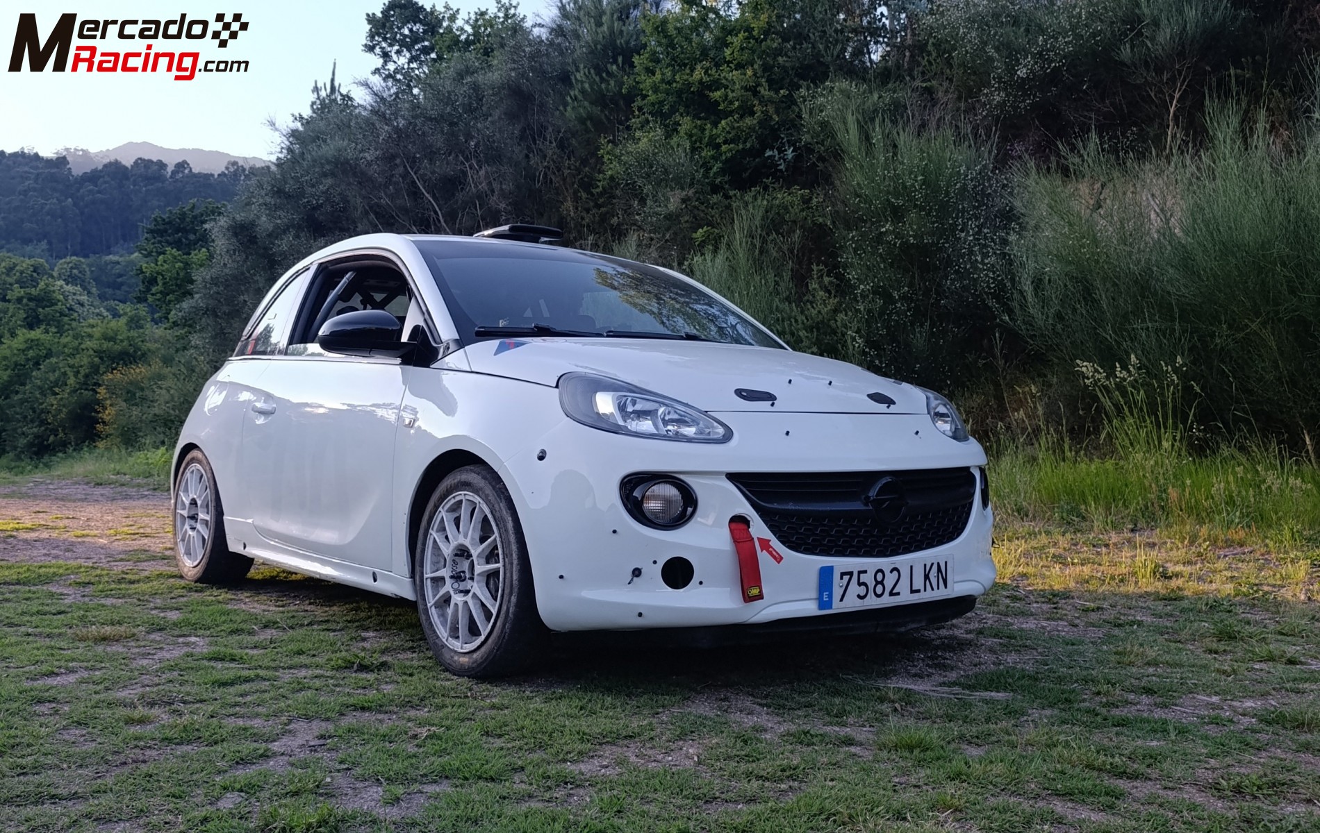 Opel adam cup