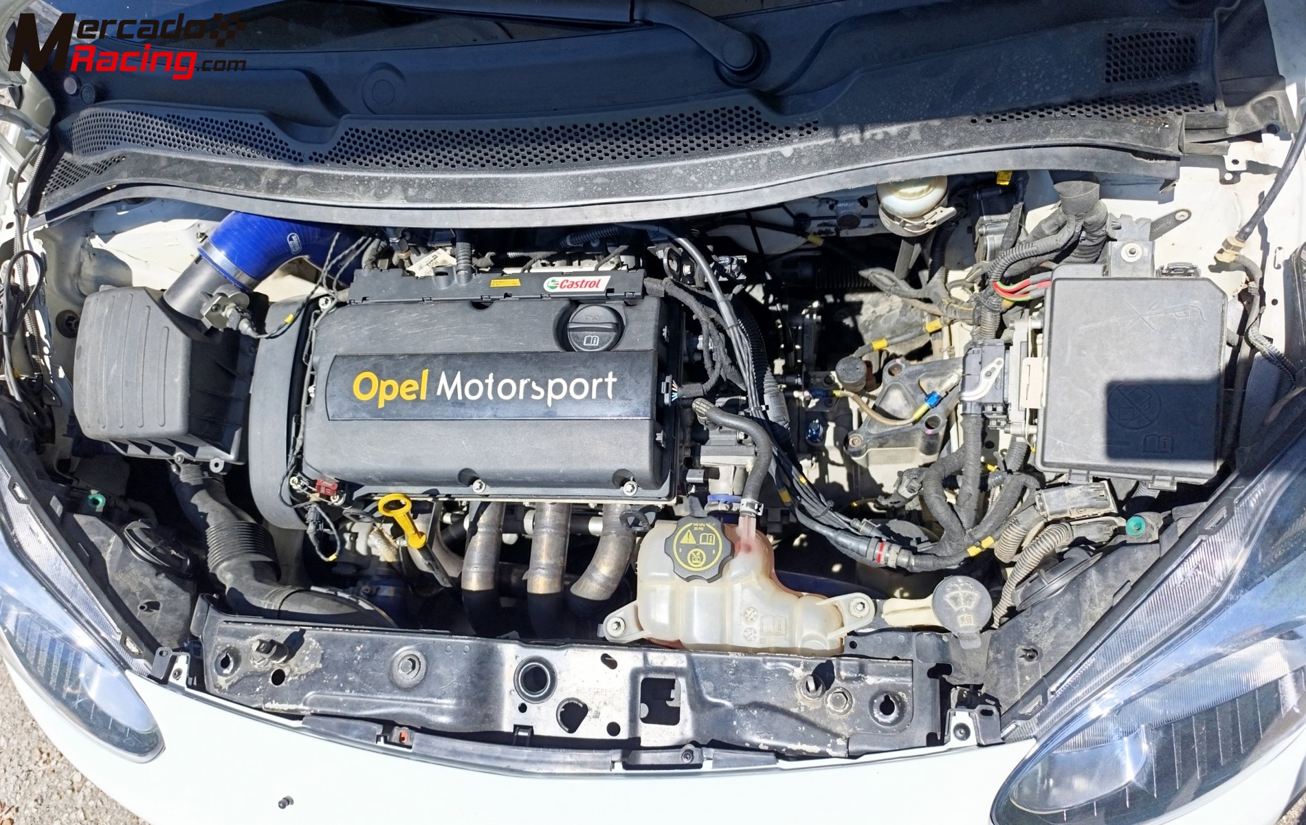 Opel adam cup