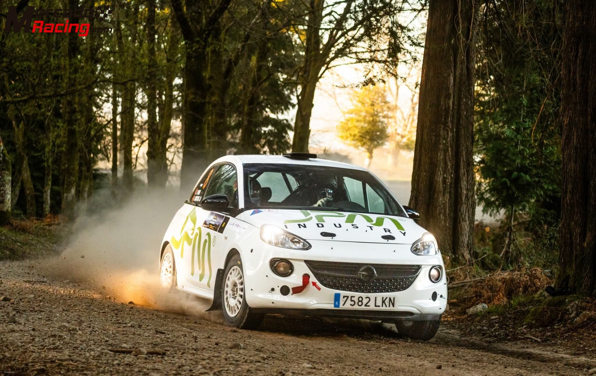 Opel adam cup