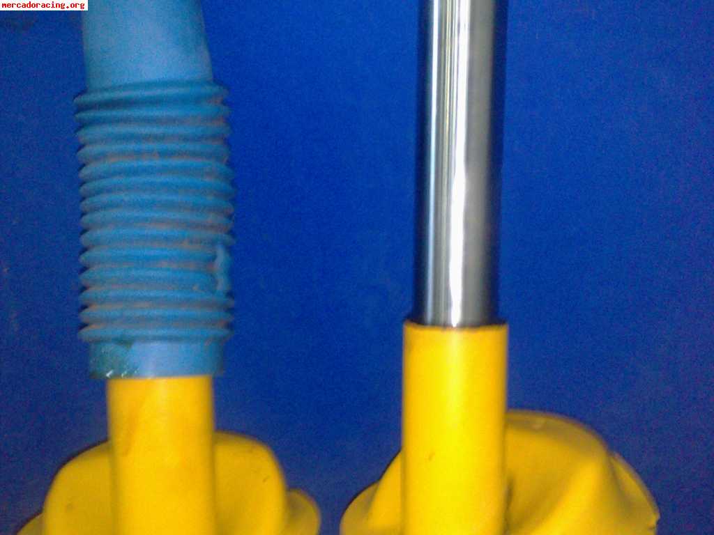 Se venden bilstein 250€