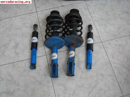 Selex regulables para renault clio 16v