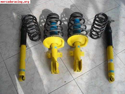 Bilstein y hr para peugeot 307