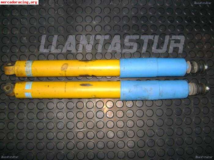 Bilstein trasero renault 19-11