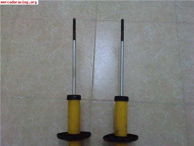 Amortiguacion selex trasera para seat cordoba/ibiza/golf 3