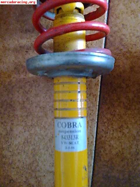 Suspension cobra con muelles -3 homologados