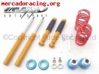 Suspension roscada para saxo y 106