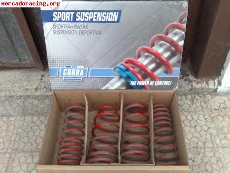 Muelles competicion cobra citroen c3
