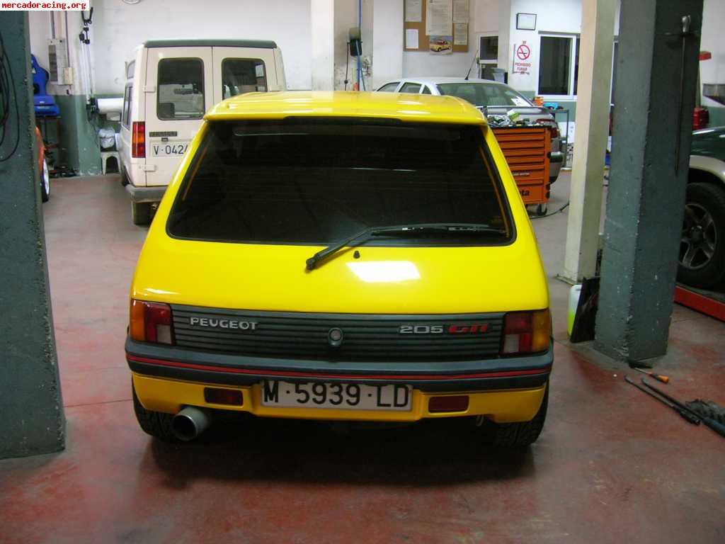 Aleron, bigote y laterales peugeot 205 gti