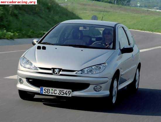Peugeto 206  frente completo