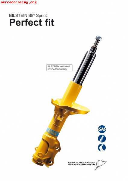 Suspension bilstein   eibach seat ibiza