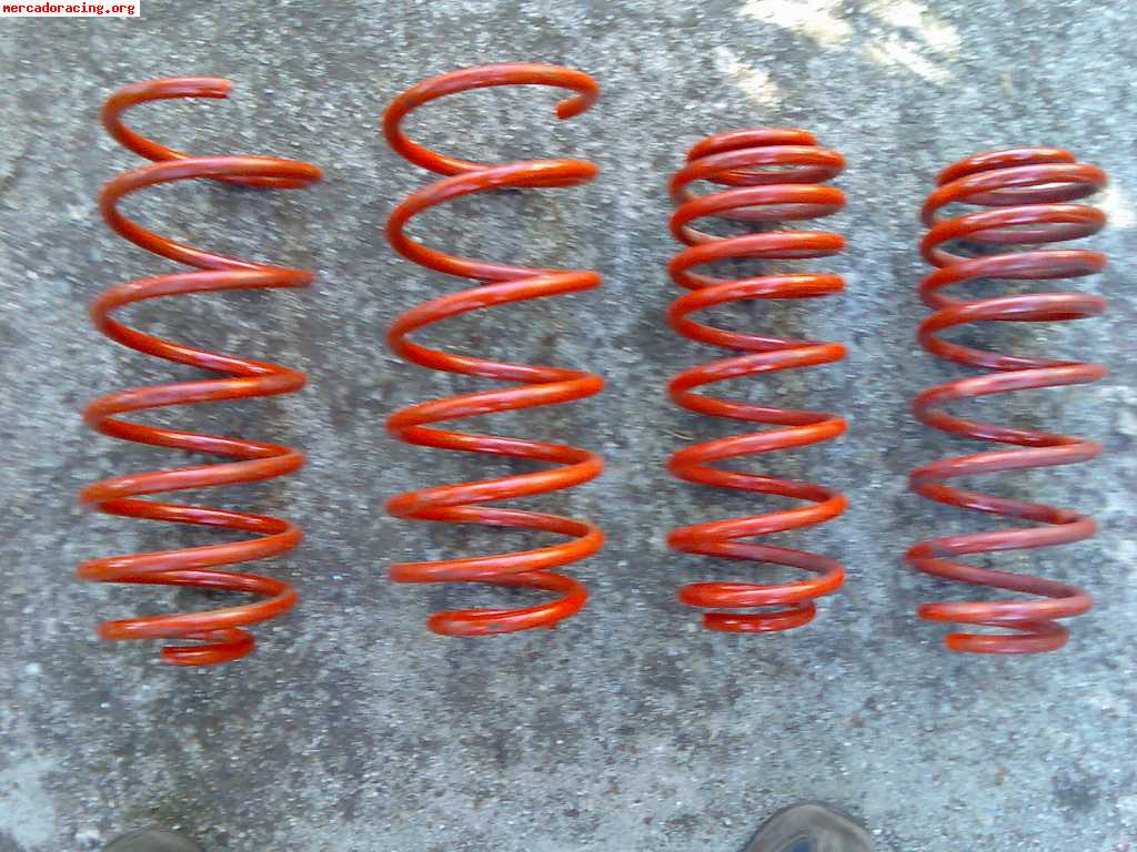 Muelles para golf 4