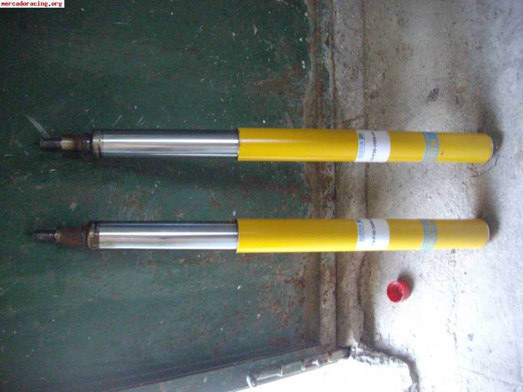 Vendo bilstein bastago gord 106/saxo/ax