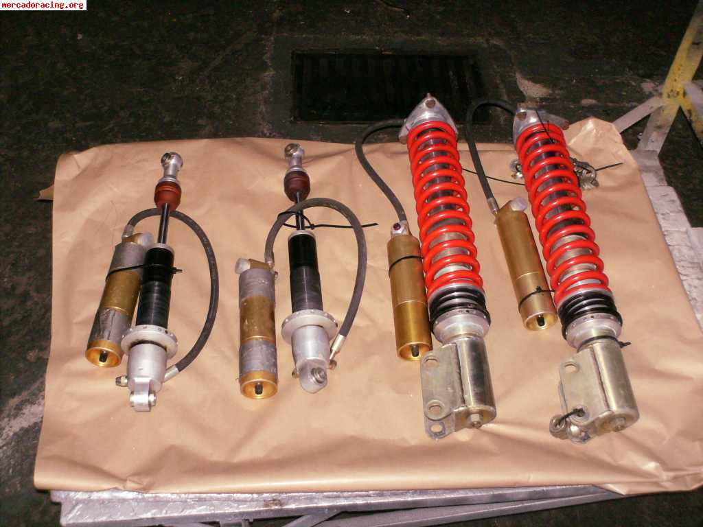 Suspension profex fiat punto s1600 tierra