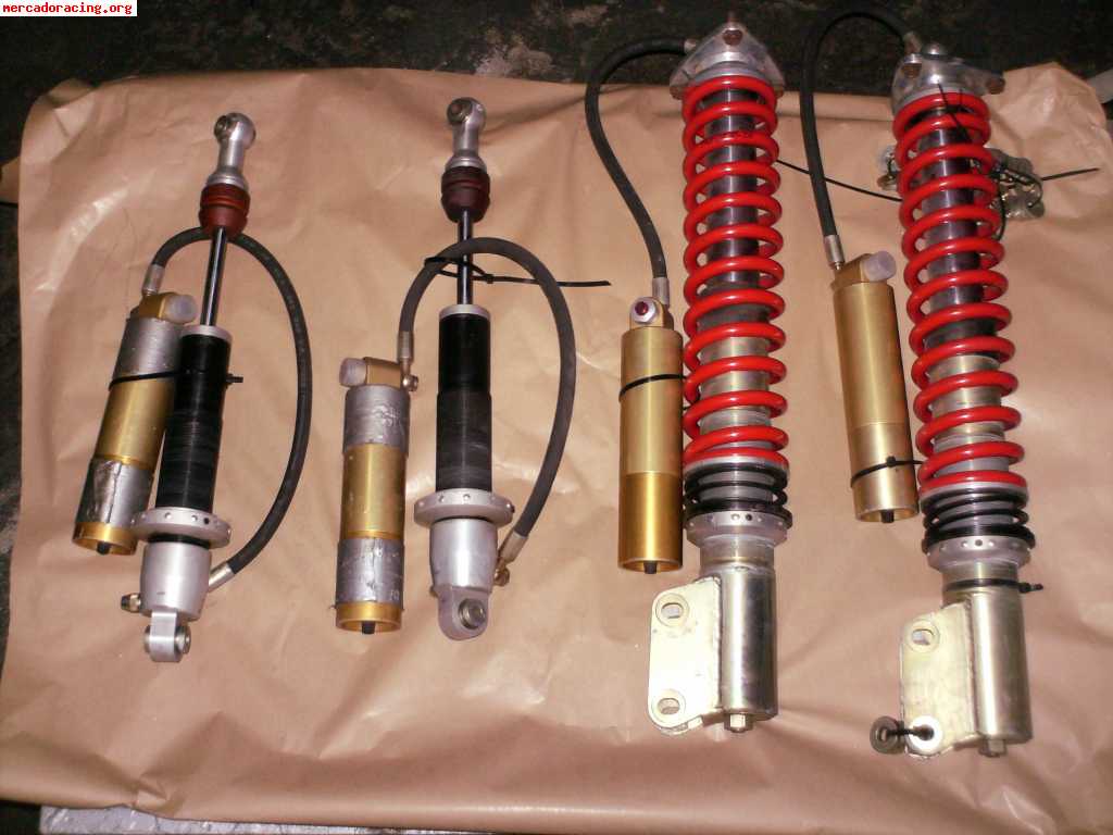 Suspension profex fiat punto s1600 tierra