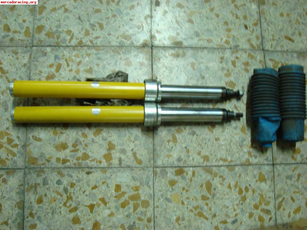 Cargas bilstein grupo n,saxo,106,ax, 250 euros