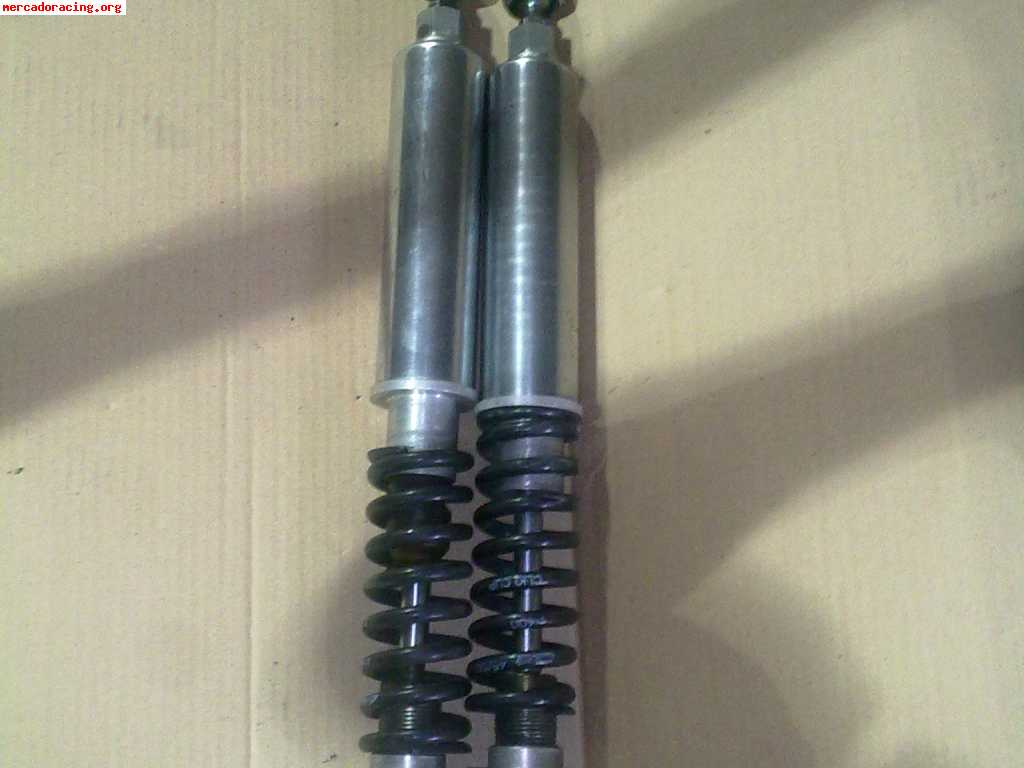 Suspension trasera clio 