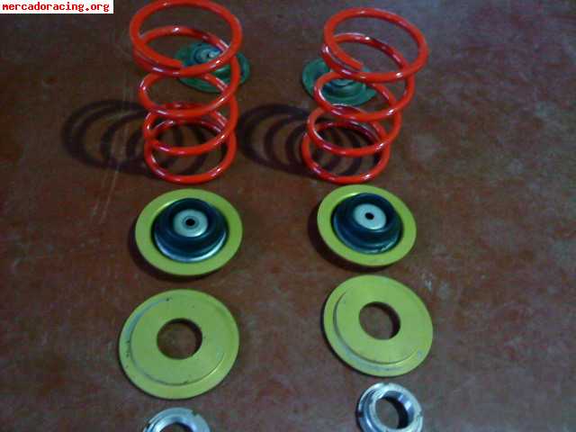 Muelles anchos pts para peugeot 309 16v
