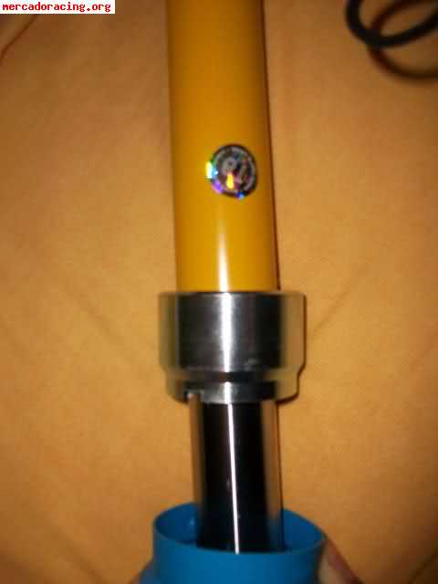 Bilstein bastago gordo   eibach saxo/106