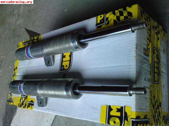 Suspensiones delanteras p-206xs desafio frances