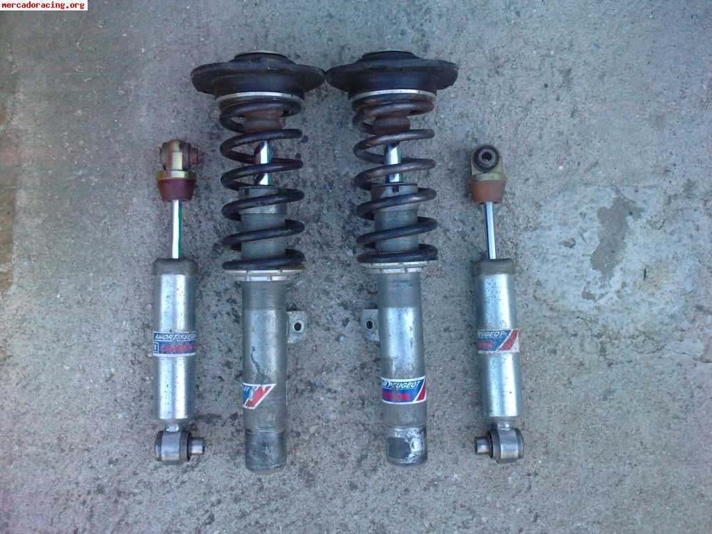 Suspensiones delanteras p-206xs desafio frances