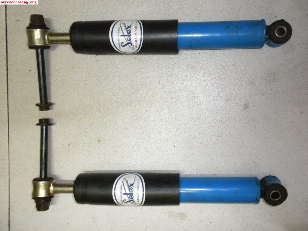 Selex azules para r5 gt turbo