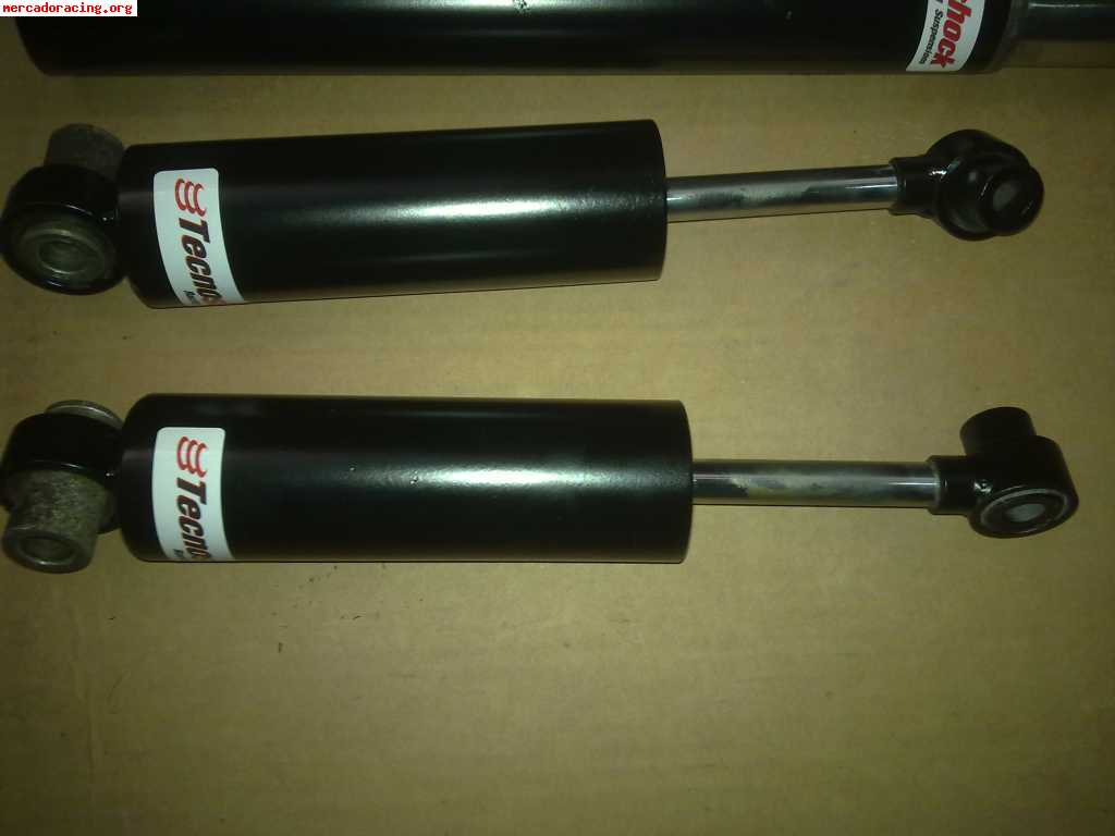 Suspension trasera tecnoshock