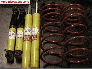 Suspension selex regulable para ax 200€