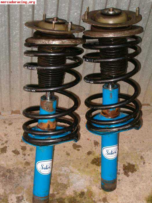 Selex peugeot 405 y muelles eibach