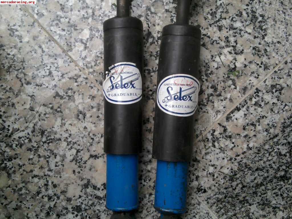 Suspension trasera selex clio 16v o williams