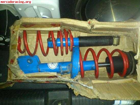 Muelles amortiguadores selex astra g