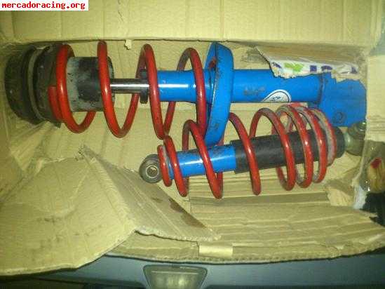 Muelles amortiguadores selex astra g