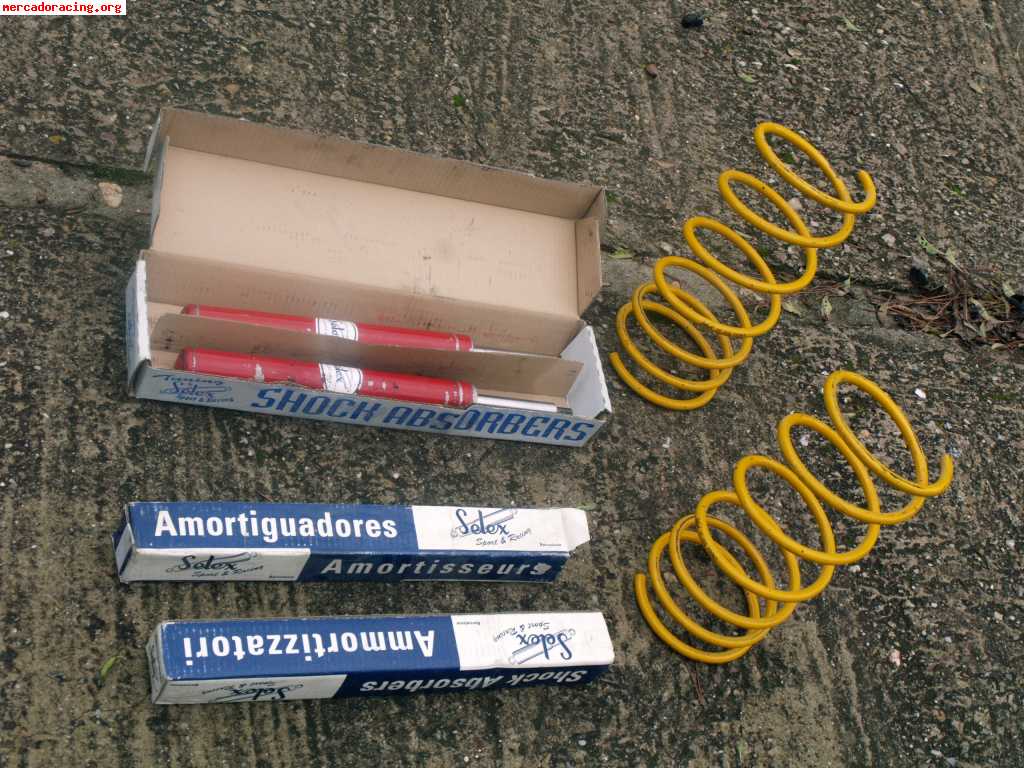 Kit suspensión selex saxo.