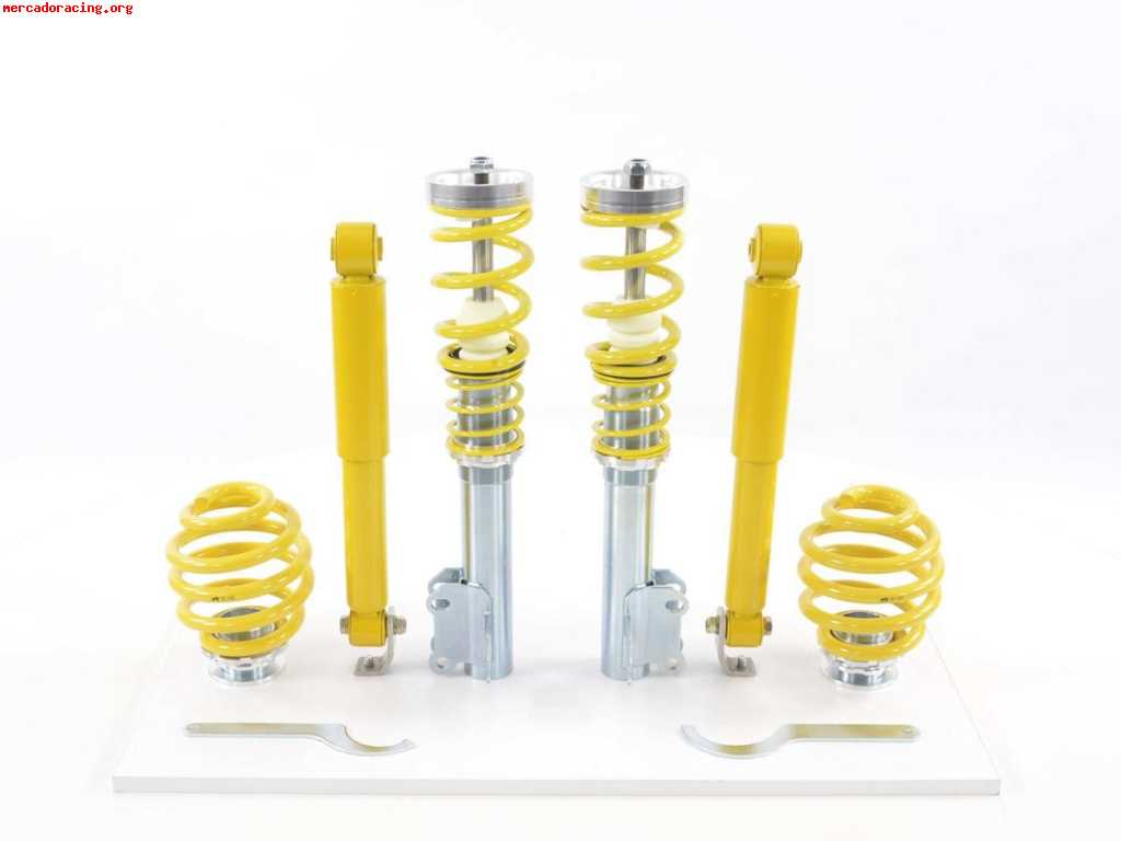 Suspension deportiva alemana vectra c