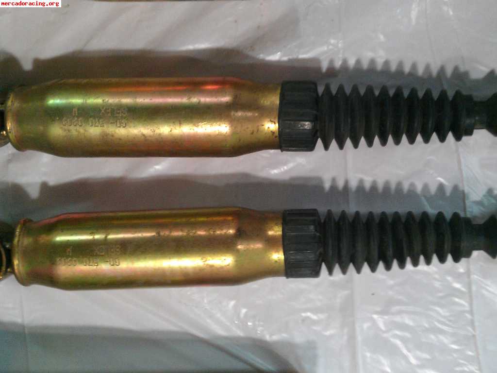 Suspensiones roscadas selex gama gold para 206,306,205,zx...