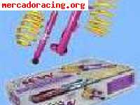 Suspension kw sport(muelles+amortiguador)