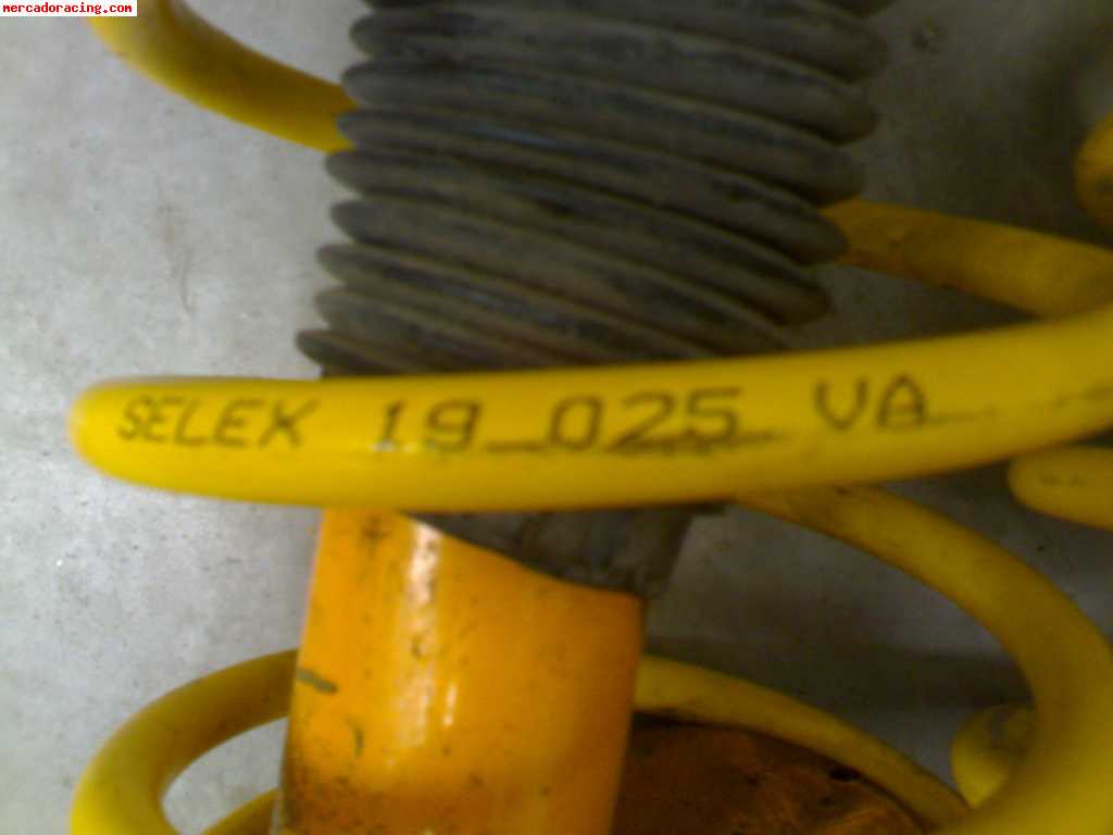 Suspension koni amarillos 205 con muelles selex