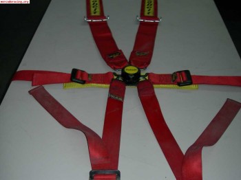 Arneses sabelt 6 puntos homologados 2009