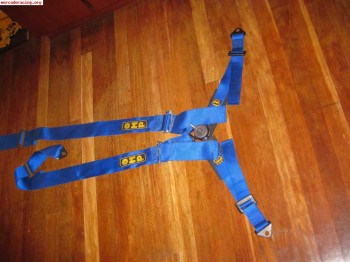 Vendo arnes onp 4puntos azul