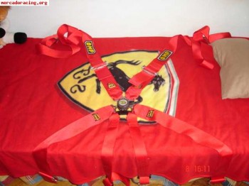 Arneses omp nuevos 220€