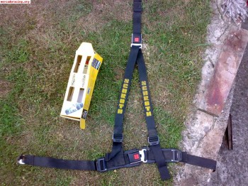 Arnes schroth negro 3 puntos con cierre trasero