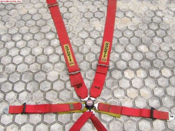 Vendo bacquet omp rs y dos arneses sabelt 6 puntos